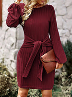 Stylish Slim Fit Knit Dress